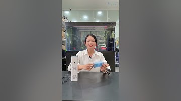 So Sánh Máy Bơm Lọc Yee 4 Trong 1 Vs 3 Trong 1 #review #sosanh #cácảnh