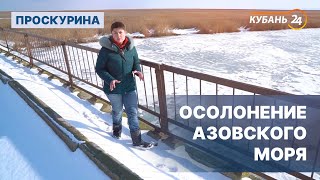 Осолонение Азовского моря | «Проскурина»