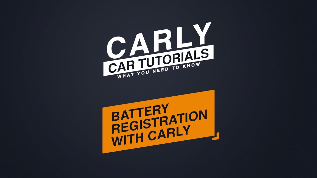 bmw tool32 tutorial battery reg