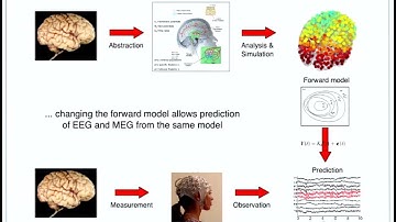 OHBM 2018 | Educational Course | Time-varying connectivity in resting-state fMRI: from me… | Part 4
