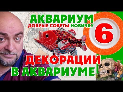 Видео: Как подобрать украшения для аквариума