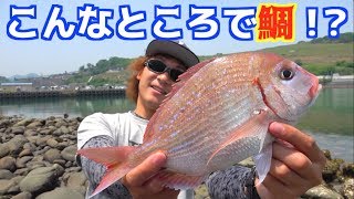 シーズン到来!キス釣りをしてたらまさかの○○が釣れた!!! シーズン到来!キス釣りをしてたらまさかの○○が釣れた!!!