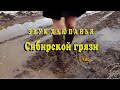 Звук хлюпанья сибирской грязи