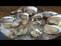 How to eat oysters (and not be weirded out) - Edible Education - KING 5 Evening