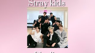 The stray kids playlist you've been looking for ✿✰☀︎✰✿