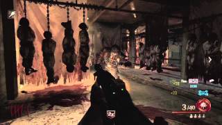 Call Of Duty Black Ops 2 Mob Of The Dead 2 Player Gameplay