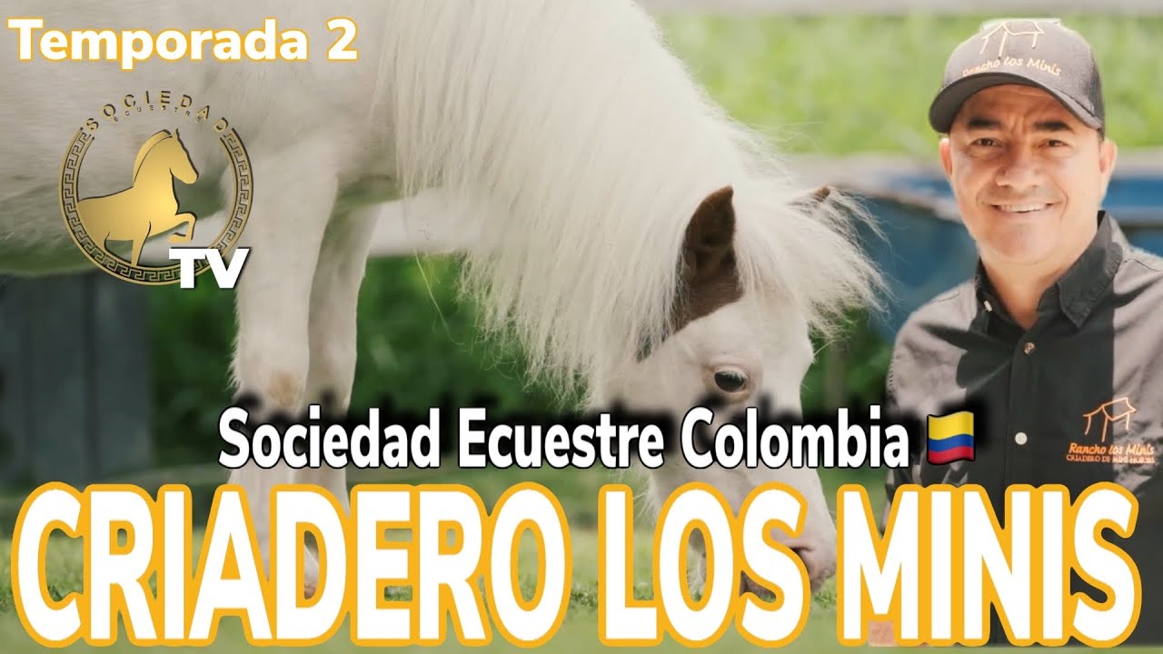 Julián González, caballos y burros miniatura. Sociedad Ecuestre Colombia, con Olga Durán