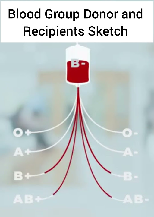 blood-group-matching-for-blood-transfusion-bloodtransfusion-youtube