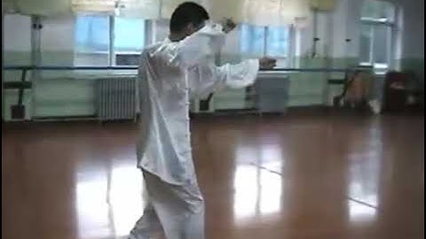 Xing Yi Quan (Hsing I Chuan) 5 elements 形意五行拳