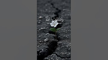 استغفرالله العظيم قرآن كريم #اكسبلور #يارب #المصحف #دويتو #حالات_واتس #duet #تيك_توك #راحة_نفسية