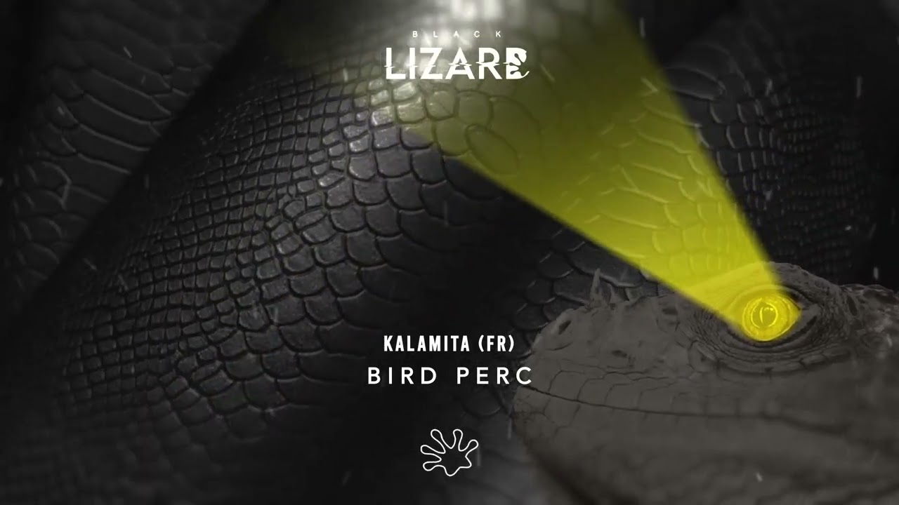 Watch KALAMITA (FR) - BIRD PERC on YouTube Watch KALAMITA (FR) - BIRD PERC on YouTube