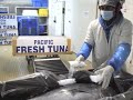 Mode demploi  toques du caillou  pacific tuna