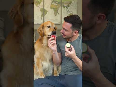 Video: Šunų maistas