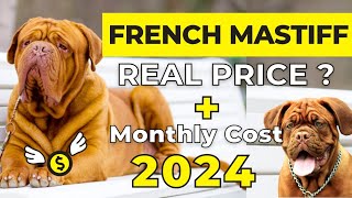 French Mastiff Dog Price In India 2024 | Price Of French Mastiff In India | Dogue De Bordeaux