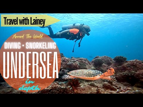 Diving Cozumel 1995 - YouTube