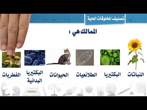 ممالك المخلوقات الحية