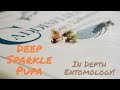 How to tie the deep sparkle pupa in depth entomology