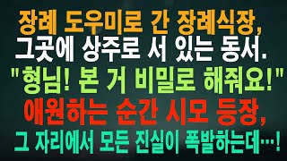 장례 도우미로 간 장례식장, 그곳에 상주로 서 있는 동서. 형님! 본 거 비밀로 해줘요! 애원하는 순간 시모 등장, 그 자리에서 모든 진실이 폭발하는데…!