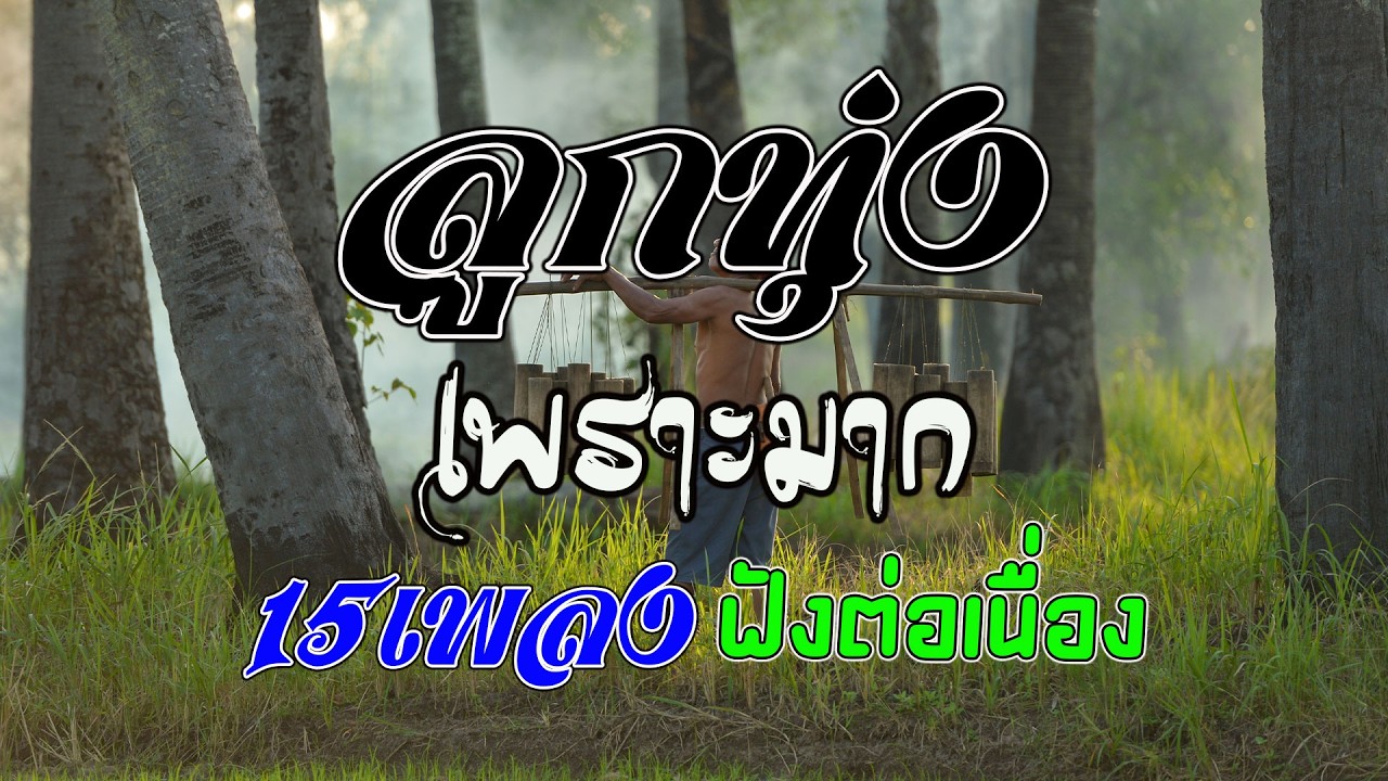 ลูกทุ่งเพราะมาก คัดมาพิเศษ : 15เพลงฟังต่อเนื่อง