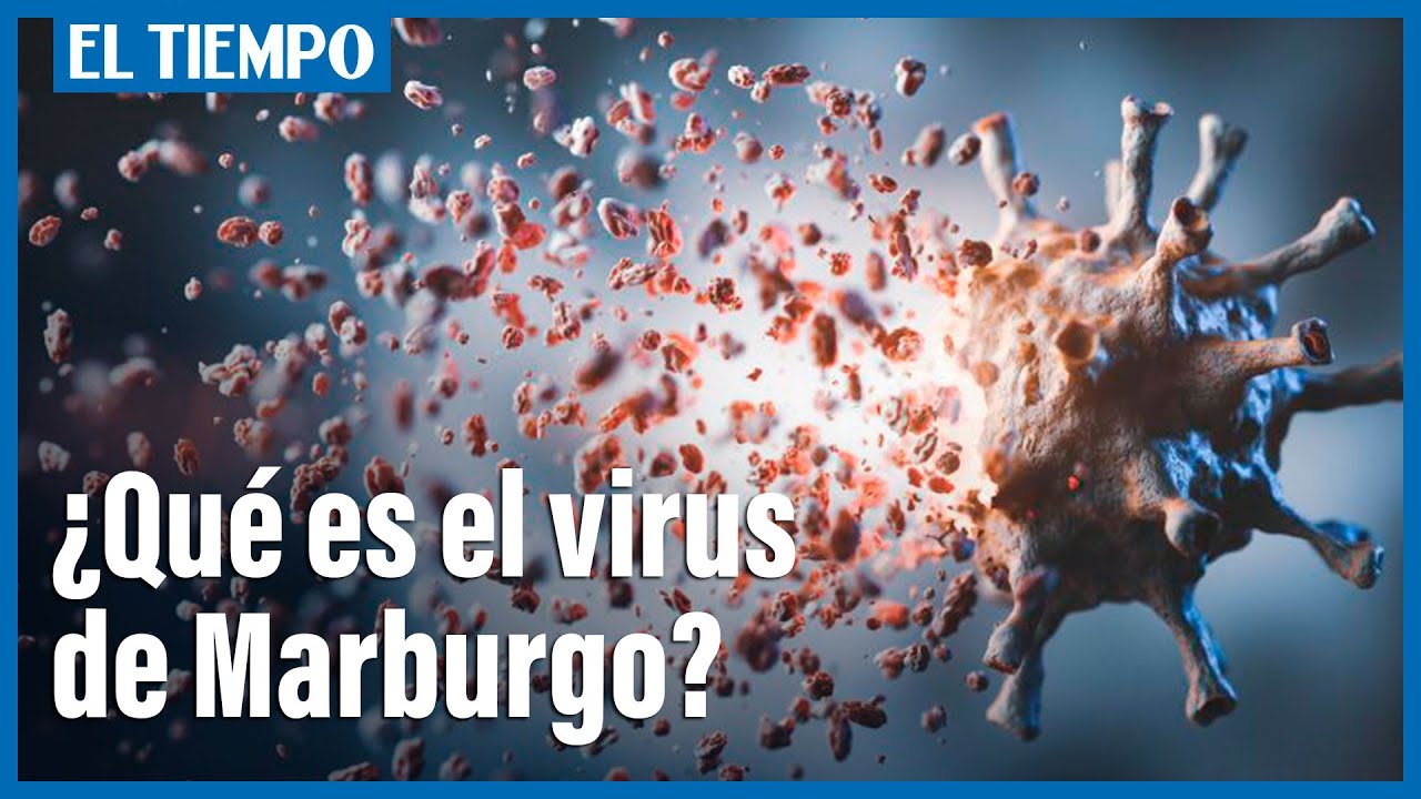¿Qué es el virus de Marburgo que, según OMS, podría provocar una pandemia?
