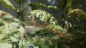 Tropical Forest Pack 1.1