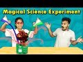 Pari's Fun Magical Science Experiments Part 2 | Simple Science Experiments For Kids
