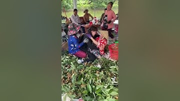 TRỞ VỀ NHÀ SAU 4 NĂM ĐI NHẬT VÀ BẤT NGỜ TỪ GIA ĐÌNH/ Nguyễn Tú Nhi