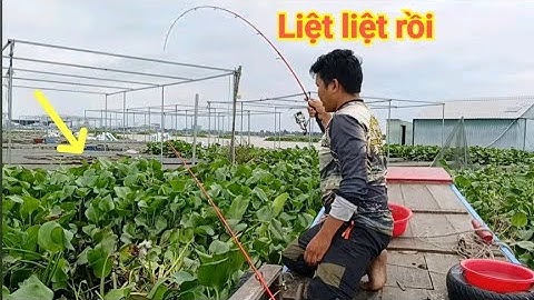 Không thể tin nổi dính cá kiểu này - Liệt cần run tay câu trúng bầy cá Cầy, Dồ Đém, cá Ét, cá Cóc