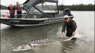 Fishing British Columbia!! Giant sturgeon, camping, and exploring (WT part 12)