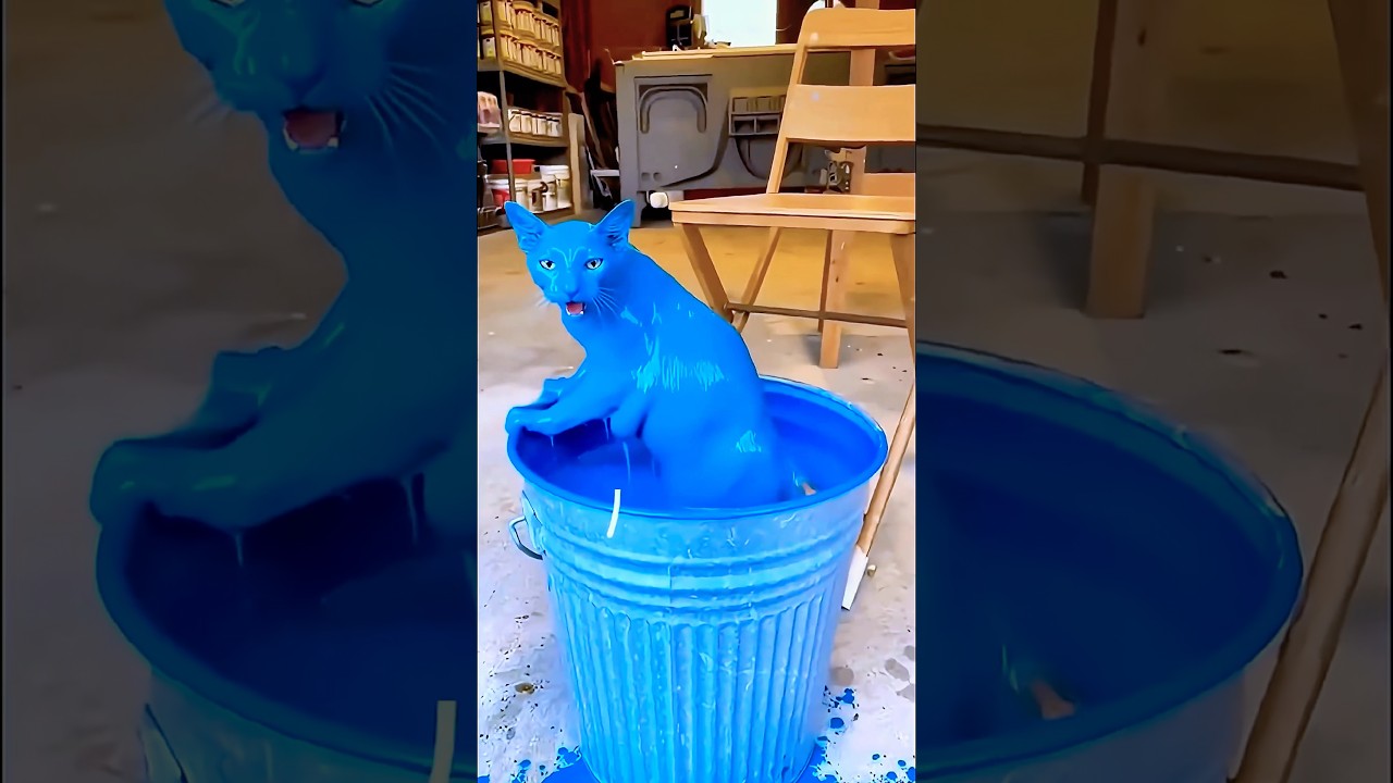 Be careful 😿❤️