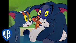 Tom & Jerry | Sleepy Tom | Classic Cartoon | WB Kids