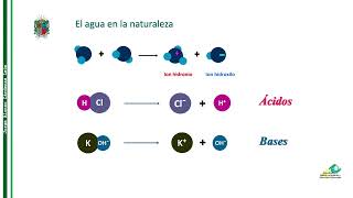 pH LAB VIRTUAL