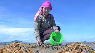 Find Razor Clam For Cooking - Razor Clam Salad Recipe - Simple Life Cooking