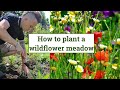 How to create a wildflower meadow wildlife garden design guide  episode 4