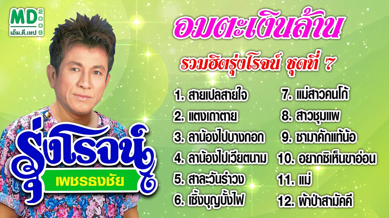 ฟังยาวต่อเนื่อง | รุ่งโรจน์ เพชรธงชัย | รวมฮิตรุ่งโรจน์ ชุดที่ 7