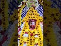 #tarapith #love #maashakti#bhakti#song #shyam #devi #maa #kali  #viral #music #video #life #mata