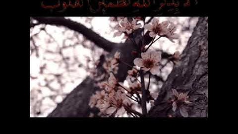 سورة لقمان بسم الله الرحمن الرحيم أَلَمْ تَرَوْا أَنَّ اللَّهَ سَخَّرَ لَكُم مَّا فِي السَّمَاوَاتِ