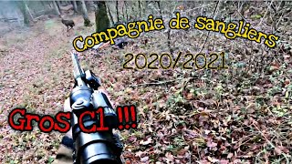 Chasse en battue 2020/2021 - GROSSE COMPAGNIE ET JOLI CERF