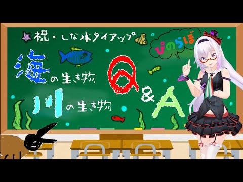 【魚は人の顔を覚える?】海の生き物、川の生き物のお勉強！【ぴのらぼ】