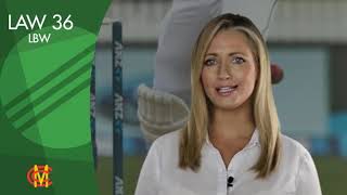 Law 36 Lbw Icc Cricket Laws