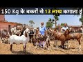   heavy weight goat         150     goat farming