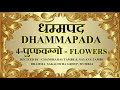 4 dhammapad  puppha vaggo by chandrahas  nayana tambe  dhamma sakaccha group
