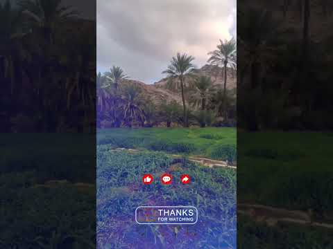 الل ه م اجعلنا من الوار دين ج ن ات ك آمنين م طه ري القلوب لا غ ل في صدور نا