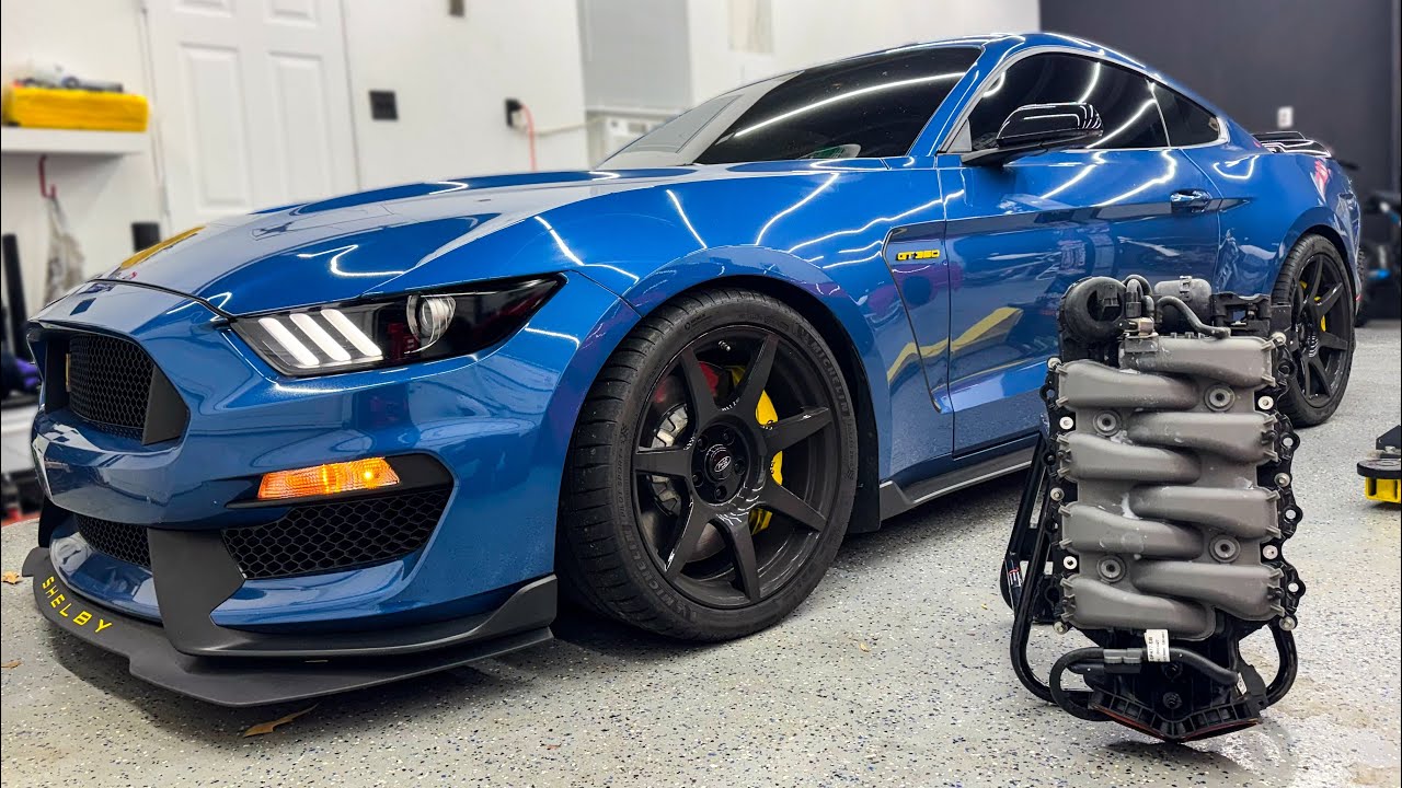 Going Back ALL MOTOR with My Shelby GT350!?