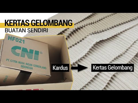 Video: Crocus Kertas Bergelombang