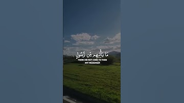 يَا حَسْرَةً عَلَى الْعِبَادِ ۚ || تلاوة مؤثرة للقارئ شريف مصطفى.