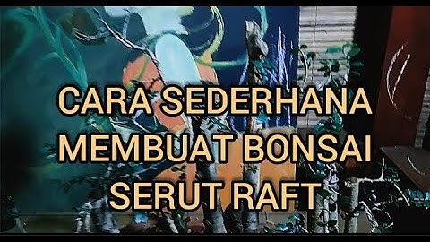 Cara membuat bonsai serut raft |bonsai serut