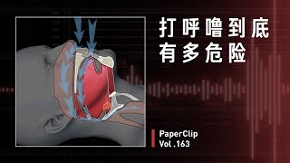 Vol.163 打呼噜到底有多危险？