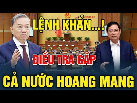 Tin tức Việt
