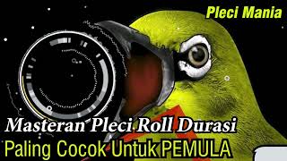 Masteran Pleci Agar Ngeroll DURASI PANJANG!!!!